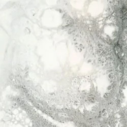 thumbnail of tinsel option