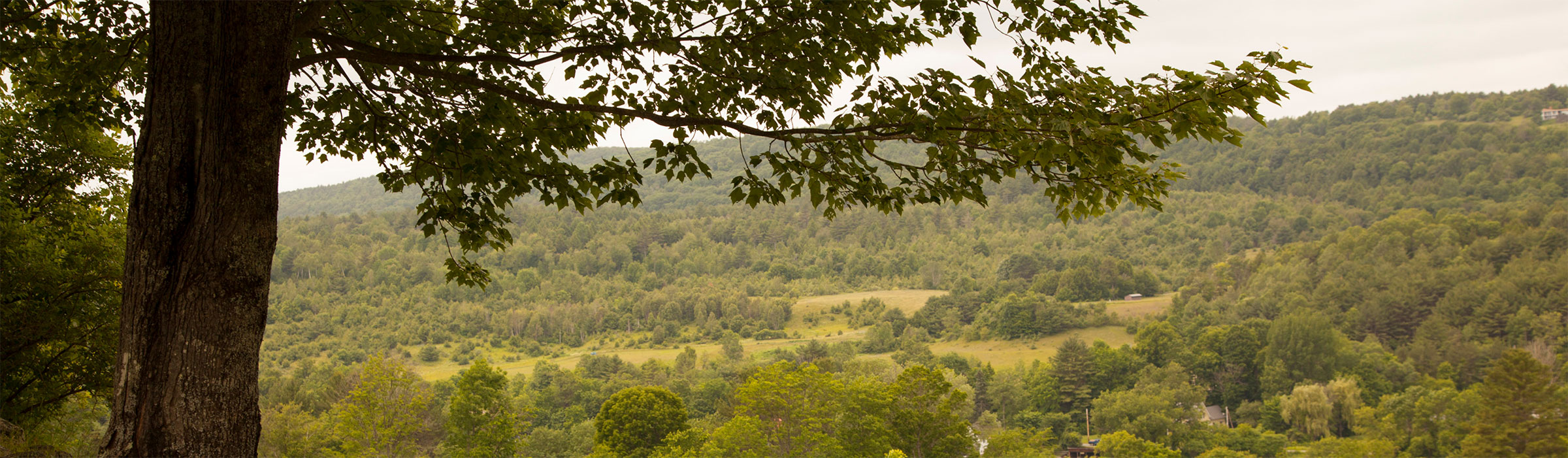 picture of a field across of valley